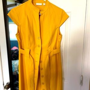Gold/mustard/yellow New York and company dress